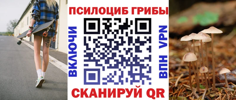 Галлюциногенные грибы MAGIC MUSHROOMS  дарк нет состав  Жуков 